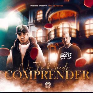 No te puedo comprender (feat. Tm Zaiko)