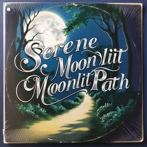 Serene Moonlit Path