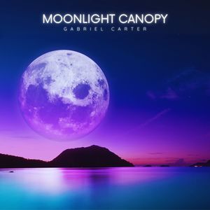 Moonlight Canopy
