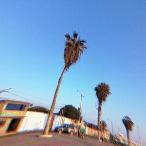 no m digas q hacer (feat. Joyz)