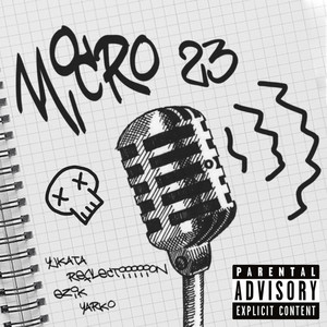 Micro 23 (Explicit)