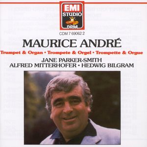 Ave Maria (圣母颂)