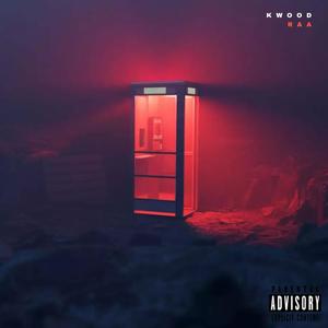The Light (feat. RAA) (Explicit)