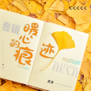 瞳孔里的婚纱封面