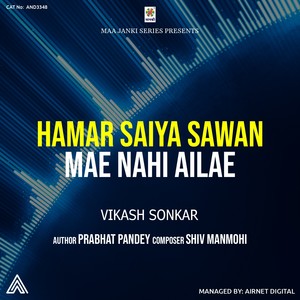 Hamar Saiya Sawan Mae Nahi Ailae