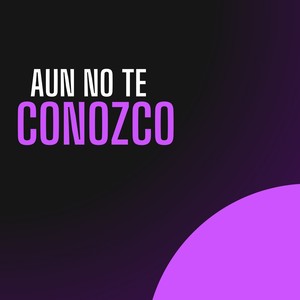 Aun no te conozco