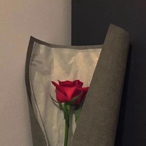 雲雨Zagz - 熬过今天就死掉