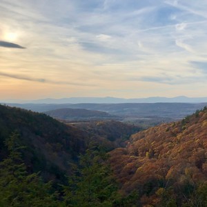 Nature's Suite : Morning, Noon & Night(feat. Ben Sutin, Akua Dixon & Luca Soul Rosenfeld)