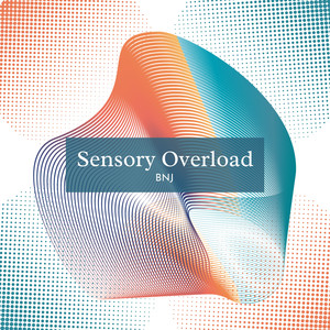 Sensory Overload (Extended Instrumental)