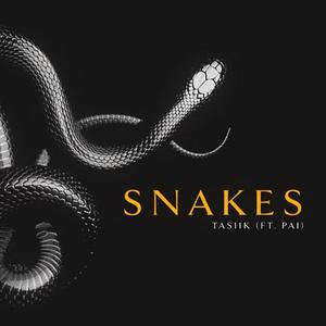 Snakes(feat. Pai) (Explicit)