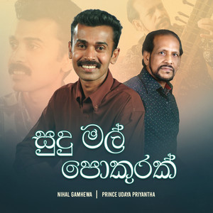 Sudu Mal Pokurak