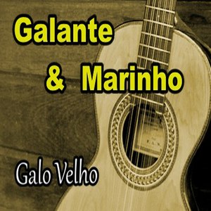 Galo Velho