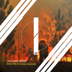 Wild Fire (feat. Nataly Rosslvet)