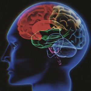 BURRAIN (feat. 03 Demi) (Explicit)