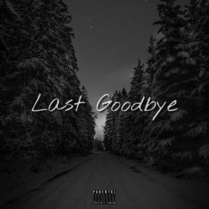 Last Goodbye (Explicit)