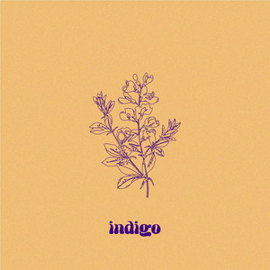 Indigo (Live)