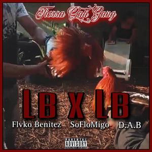 Lb x Lb (feat. SoFloMigo & D.A.B) [Explicit]