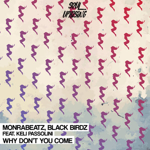 Why Don't You Come (Original Mix)