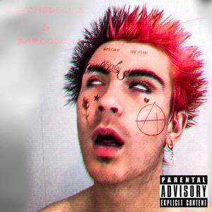 Stray Cat (Explicit)