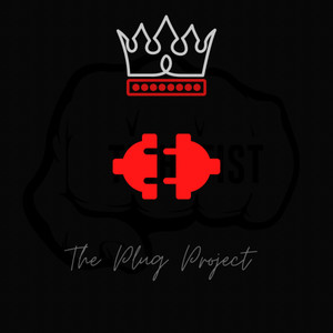 The Plug Project (Explicit)