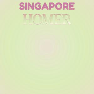 Singapore Homer