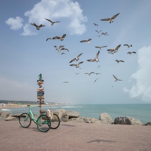 Confianza Que Ilumina