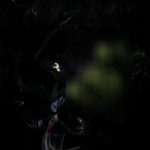 I’m High (Explicit)