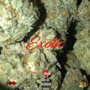 Exotic (Explicit)