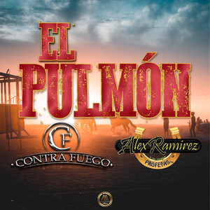 El Pulmòn