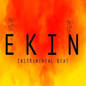 Ekin