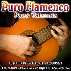 Puro Flamenco