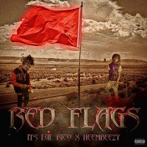 Red Flags (feat. Heembeezy) (Explicit)