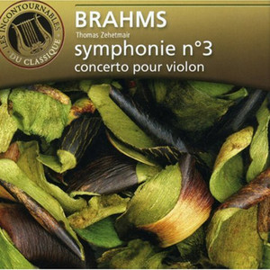 Symphony No.3 in F major, Op.90 - Allegro con brio - Un poco sostenuto - Tempo I (F大调第3交响曲,作品90 - 有活力的快板 - 稍慢的 - 回原速 I)