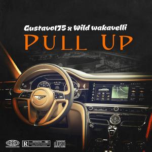 Pull Up (feat. wild Wakavelli) [Explicit]