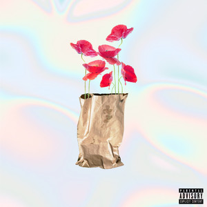 Brown Paper Bag (Maxi) [Explicit]