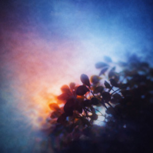 When The Light Remembers Us