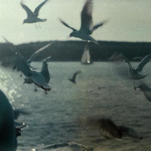 where to go (Explicit)