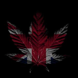 i hate windows (feat. KBP) (Explicit)