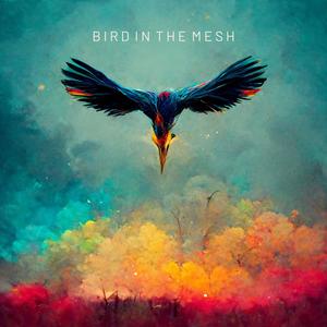 Bird in the Mesh (feat. Ashraf & Bigg Zee)