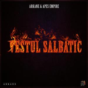 Bagabontii (feat. Maili, Maidan, 99, Houdini, Cartier & Cretzu) (Explicit)