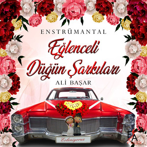 Eğlenceli Düğün Şarkıları (Enstrümantal)