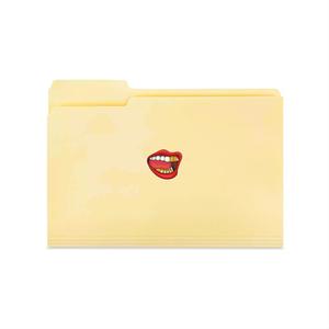 MANILA FOLDERS (Explicit)