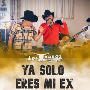 Ya Solo Eres Mi Ex (feat. Junior Martínez)