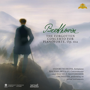 Piano Concerto in D major, Op. 61a - II. Larghetto