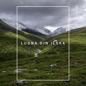 Miracle Healing Toner