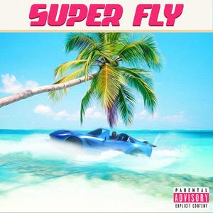 Super Fly (Explicit)