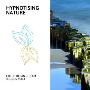 Hypnotising Nature - Exotic Ocean Stream Sounds, Vol.1