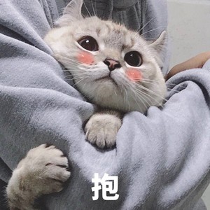 水蓝色情人
