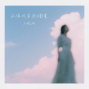 正值我青春懵懂