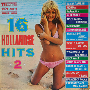 16 Hollandse Hits, Vol. 2